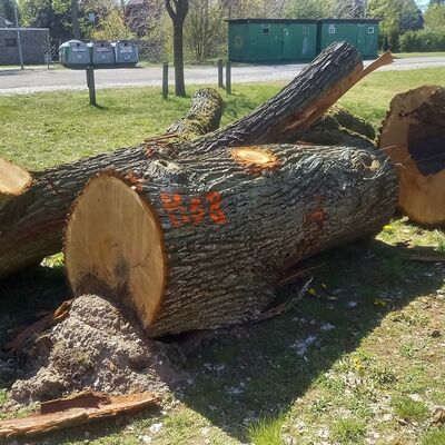 Bild vergr&ouml;&szlig;ern: Mü8 1