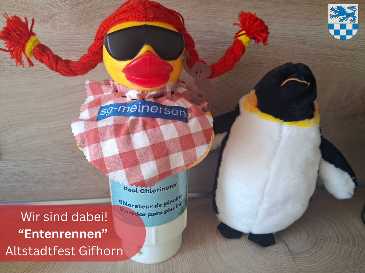 2026-08-17 Bild_Entenrennen_Altstadtfest Gifhorn